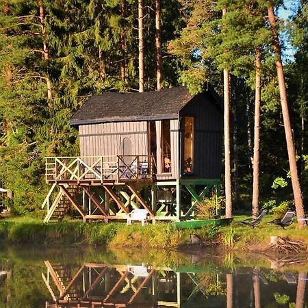 Dragon House In The Tree! Jacuzzi, Sauna ,Cinema,Heated Lici  Esterno foto