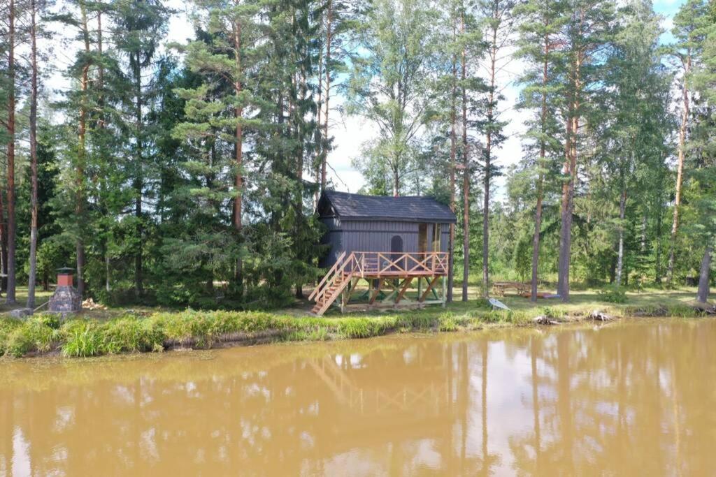 Dragon House In The Tree! Jacuzzi, Sauna ,Cinema,Heated Lici  Esterno foto
